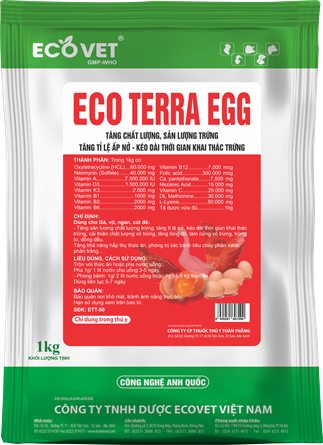 ECO TERRA EGG - Tăng chất lượng, sản lượng trứng. Tăng tỉ lệ ấp nở - kéo dài thời gian khai thác trứng