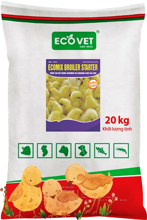 Ecomix Broiler Starter - Thức ăn bổ sung vitamin và khoáng chất cho gà con