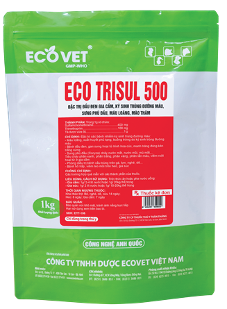 ECO - TRISUL 500 - Kháng sinh thế hệ mới, đặc trị nhiễm khuẩn hô hấp.