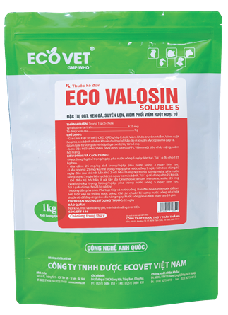 ECO - VALOSIN SOLUBLE S - Đặc trị ORT, hen gà, suyễn heo, viêm phổi, viêm ruột thừa hoại tử.