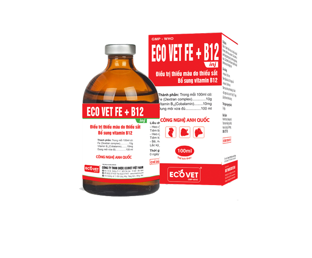 ECO VET FE+B12 - Đặc trị thiếu máu do thiếu sắt, bổ sung vitamin B12