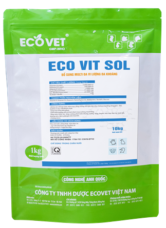 ECO - VIT SOL (Dạng cốm) - Đẹp mã, vàng da, tăng hấp thụ chuyển hóa thức ăn.