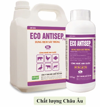 ECO - ANTISEP PLUS - Dung dịch sát trùng.